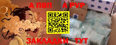 амф Кингисепп