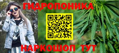 амф Кингисепп