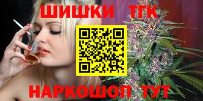амф Кингисепп