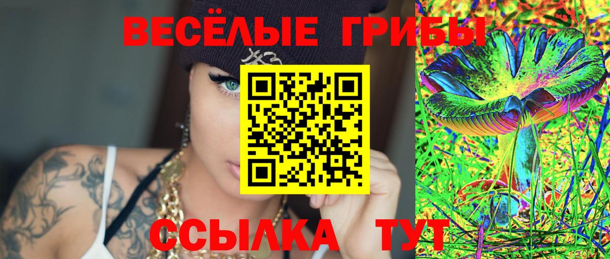 Псилоцибиновые грибы Cubensis  Вход с VPN  Шатура 